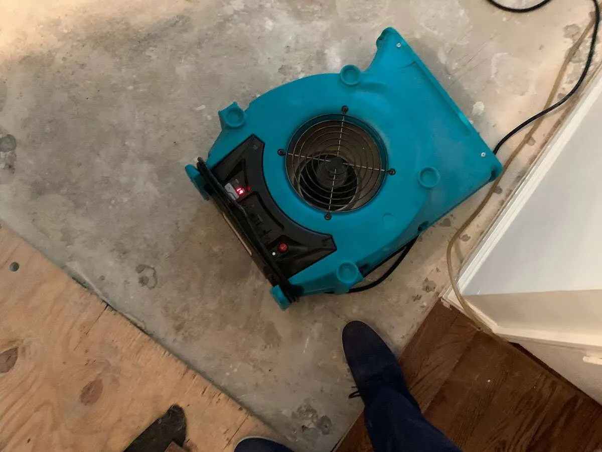 Air mover drying subfloor during Leak Detection & Repair in Willows